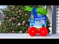 Recycled craft: balloon-powered milk carton car
