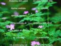 P Yniemy Przez Rzek Tajemnic images P Yniemy Przez Rzek Tajemnic
