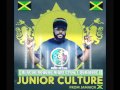 Junior Culture - Dem Try To Conquer We - Dubplate  - Dj Acon Reggae Night Crew Foundation Sound