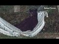 Wild bear caught chilling in family's hammock
