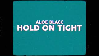 Watch Aloe Blacc Hold On Tight video