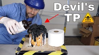 Pouring Sulfuric Acid On Toilet Paper Makes A Demon Come Out