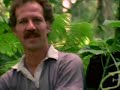 Herzog on the obscenity of the jungle