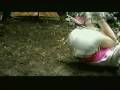 Top Fighter 2: Deadly Fighting Dolls（1996）の動画　一場面の映像