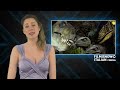 Pompei Ufficiale 2013 Movie Hd