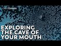 Your Mouth Is A Cave For Microbes