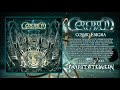 Cerebrum