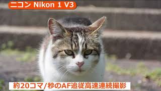 ニコン Nikon1 V3カメラのキタムラ動画Nikon
