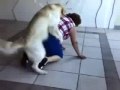 Gianfranca Massoni violentata da un cane (Però lei gode selvaggiamente)