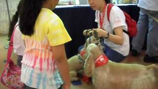 Dr Dog Team At Malaysia For Haiti Charity Event - Children Interacting With Dr Dogs