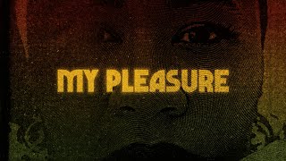 Watch Emeli Sande My Pleasure video