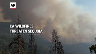 Fires threaten Sequoia forests in California
