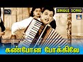 கண்போன போக்கிலே | Kannpona Pokkile Video Song | MGR | Sowkar Janaki | TMS | Vaali | MSV Song.