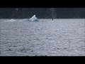 Icy Bay Camping How to