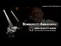 Bommukutti Ammavukku High Quality Audio Song | Ilayaraja