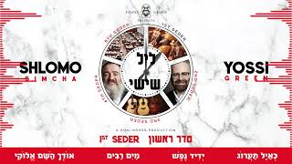 Shades Of Green | Leil Shishi | 1st Seder