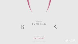 Blackpink Born Pink Leaked Instrumental