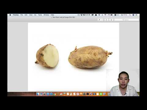 EP6 ประเภทของราก ลำต้น และใบ Root Stem Leaf