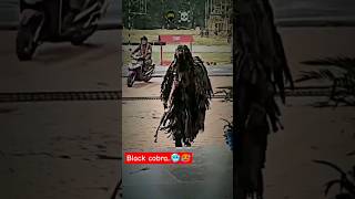 Black Cobra Commando