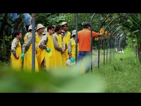 earth-university.html