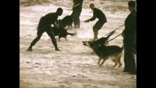 Watch That Very Time I Saw Please Excuse video