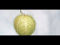 Perdre La Raison Video preview
