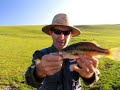 Video de Pesca com mosca de black bass na serra gaucha