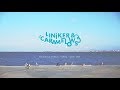 Liniker E Os Caramelows Pré Gravação De CALMÔ Em Lisboa Liniker E Os Caramelows Pré Gravação De CALMÔ Em Lisboa