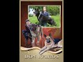 Питомник "ДОН КАЙРОС"-  занимается 