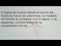 capilaridad.