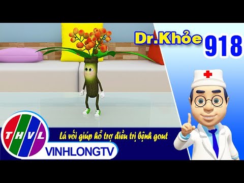 Dr. Khỏe Tập 918: Lá vối giúp hỗ trợ điều trị bệnh gout