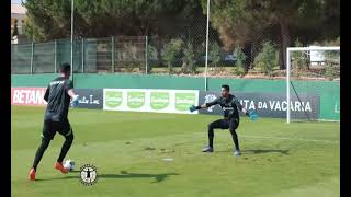 40Sq2WBFAYI Video Image