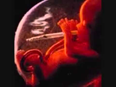 Как влияет на плод курение беременной женщины 8