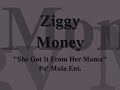 Ziggy Mula - Got It From Her Mama