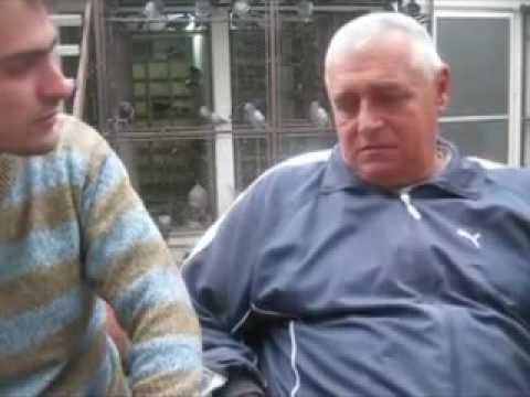 Tomica Tepavac Cole ( Preuzeto sa carske ptice svi delovi spojeni u jedan video ) Golubarstvo.