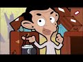 Mr. Bean - Wildlife Photography