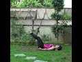 Yoga for Hormonal Imbalance 2 Yoga for Hormonal Imbalance 2