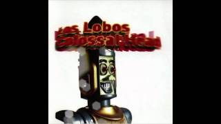 Watch Los Lobos Life Is Good video