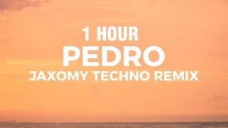[1 Hour] Jaxomy - Pedro Pedro Pedro (Techno Remix) (Lyrics)