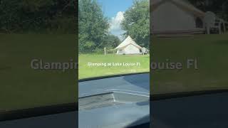 Glamping In Lake Louisa Tent Camping