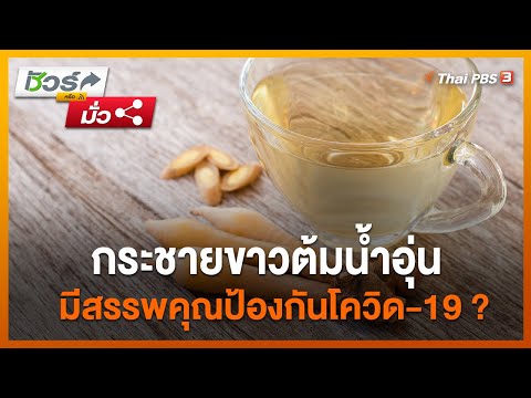 กระชายขาวต้มน้ำอุ่นมีสรรพคุณป้องกันโควิด-19 ? : ชัวร์หรือมั่ว (27 เม.ย. 64)