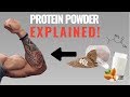 Protein Powder: How to Best Use It For Muscle Growth (4 Things You Need to Know)