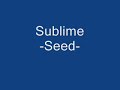 Sublime Seed