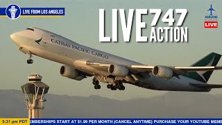 LIVE Plane Action at LAX | Los Angeles Plane Spotting