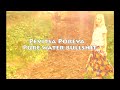 Pevitsa Poreva - Pure water bullshi...