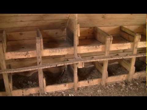 Как сделать клетки для выращивание бройлеров Как сделать клетки для выращивание бройлеров