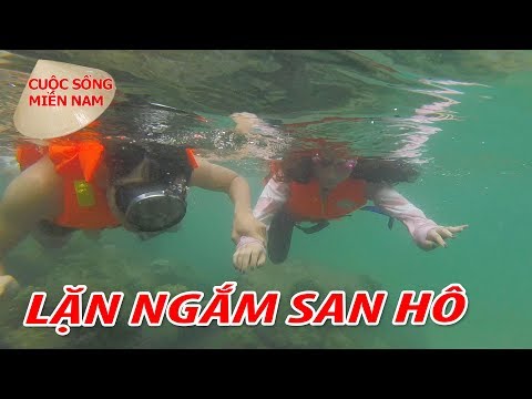 Nam Việt 309 - Lặn Ngắm San Hô | Du Lịch Đảo Nam Du