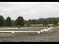 Dressage Pas De Deux Champs