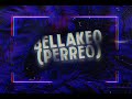 Bellakeo (Perreo) - Remix - Dj Santy Mix