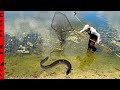 CATCHING the BLACK FISH! **BLIND Mystery GIANT of the POND**